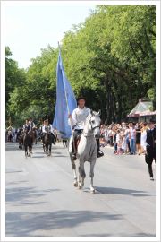 Dužijanca 2013. Subotica